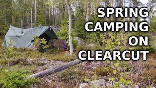 Springtime camping on clearcut