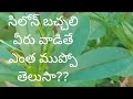 564 -Benefits And Side Effects Of Using Ceylon Bachhali/సిలోన్ బచ్చలి ఉపయోగాలు మరియు సైడ్ ఎఫెక్ట్స్