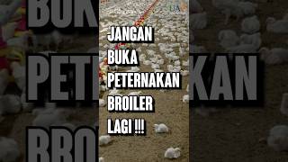 JANGAN Buka Peternakan Broiler Lagi !!!