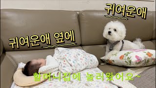 육아 vlog | 신생아 사랑이 할머니집에 놀러갔어요!!