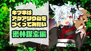 【雑談】狐はアクアリウムにあこがれる【Amazon探索編】