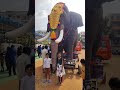 elephant in jalahalli ayyappa ayyappa shots viral 🔥