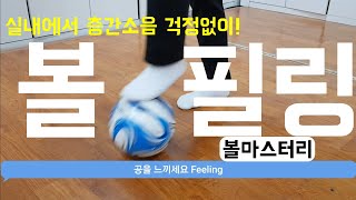 축구 볼마스터리 초보자 초등학생 층간소음 걱정없이 실내운동 하기