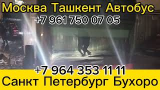 санкт-петербург-узбекистан автобус москва-ташкент автобус Ташкент-москва автобус +7 964 353 66 66,☎️