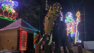 Panmana Saravanan Elephant, Kaviyoor Mahadeva Temple Festival, 2021