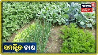 Annadata | ସମନ୍ବିତ ପଦ୍ଧତିରେ ଚାଷ(Polyculture Cultivation)