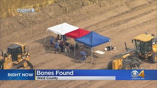 Bulldozer Uncovers Bones In Weld County