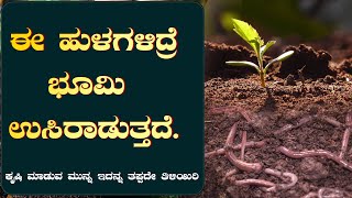 ಕೃಷಿ ಭೂಮಿಯಲ್ಲಿ ಜೈವಿಕ ಗುಣದ ಪಾತ್ರ How Microorganisms works in agriculture land