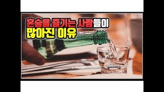 (※공감주의) 혼술을 즐기는 사람들이 많아진 이유