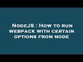 NodeJS : How to run webpack with certain options from node