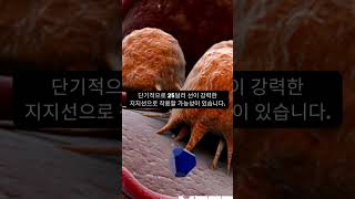 화이자: 변화와 전망 완벽 분석 #화이자 #화이자백신 #재테크 #주식