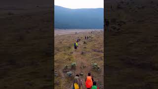 Alun alun Surya Kencana ⛰️⛰️⛰️ Gede Pangrango #shorts #pendaki #camping