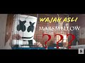 WAJAH ASLI DJ MARSMELLOW