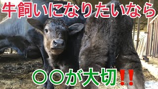 牛飼いになるために最も重要なことは❓