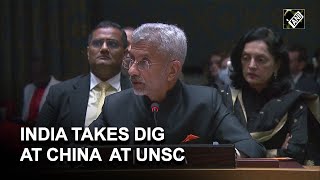 India takes dig at China at UNSC, says ‘politics should not prevent sanctioning of terrorists’