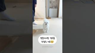 #자발적 #집순이 가 되는 이유🥰