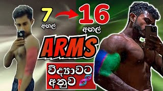 Bigger Arms The Perfect Science Based Arms Workout In Sinhala (With Sample Workout)