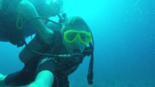 Jeddah Diving Wreck 10m deep