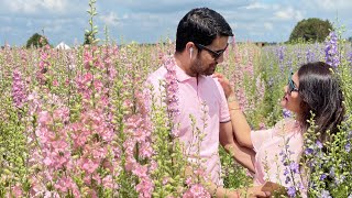 THE CONFETTI FLOWER FIELD, UK | Cinematography