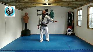 Beginners and fundamental Tang Soo Do training