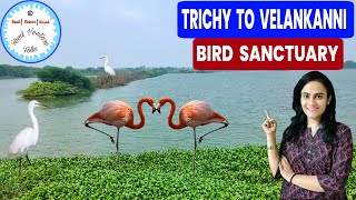 Trichy to Velankanni Road Trip \u0026 Bird Sanctuary on our way