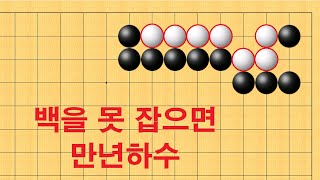 바둑 사활 - 백을 못 잡으면 만년하수에서 벗어 날 수 없습니다