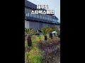 오직 제주도 스타벅스에만 판다는