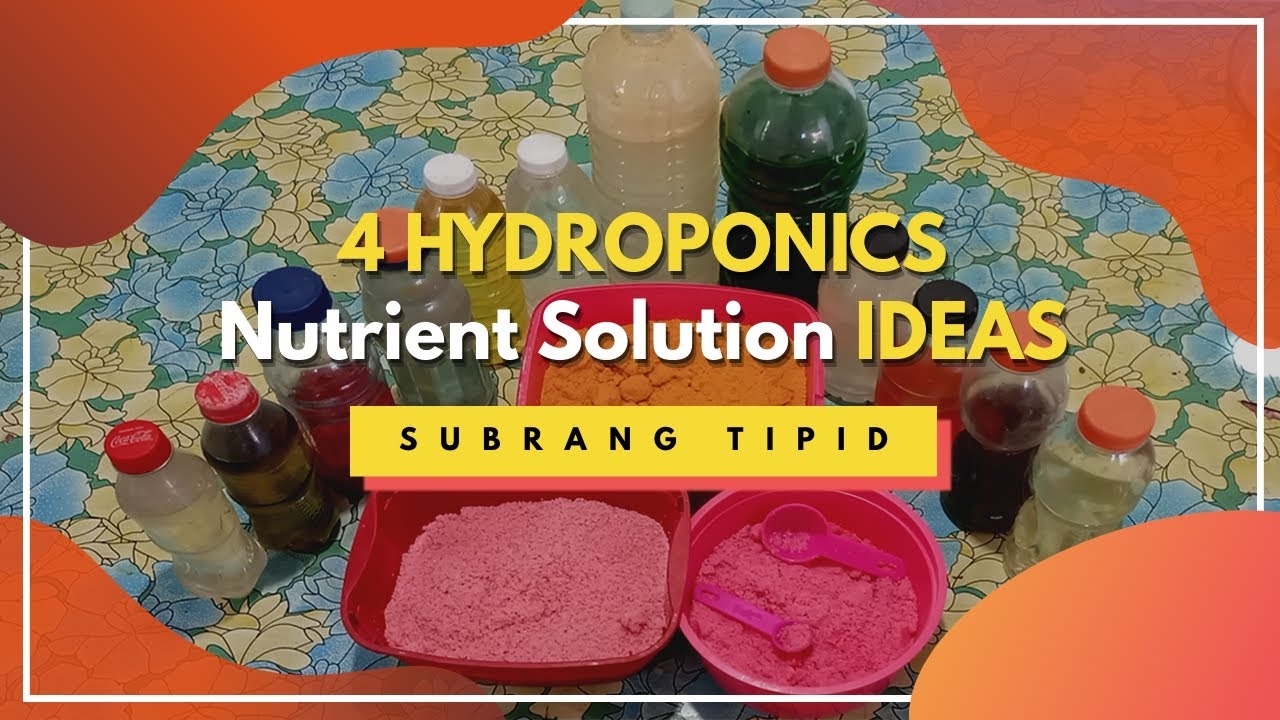 4 DIY Hydroponics NUTRIENT SOLUTION Ideas | Lettuce In A Cup DIY ...