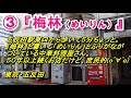 東京・埼玉！有名デカ盛り店の『デカ盛り焼きそば』人気の３店！①光栄軒②二代目蝦夷③梅林