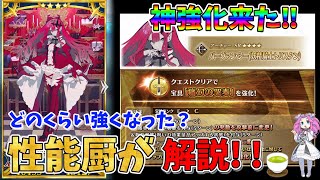 【FGO】バーヴァンシー(妖精騎士トリスタン)に強化が来た‼　強化内容と現状の性能について性能厨が解説‼【四国メタン】【ずんだもんボイス】#解説 #fgo #ガチャ