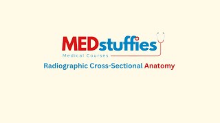 Radiographic Cross-Sectional Anatomy Lecture 6