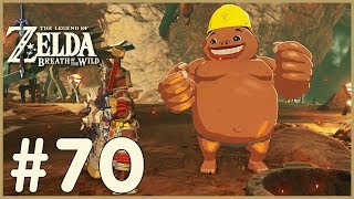 Zelda: Breath Of The Wild - Bridge Of Eldin (70)