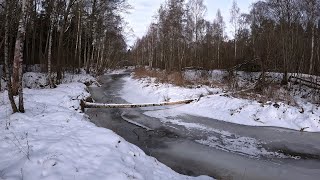 Однодневный поход на реку Удра деревня Шершуны