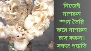 বাড়িতে নিজেই মাশরুম স্পন/বীজ তৈরি করে মাশরুম চাষ করুন || how to make mushroom spawn at home