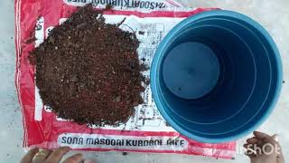 How to make organic potting mix for home garden, మిద్ద తోట మట్టి మిశ్రమం తయారీ.