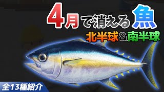 【あつ森】4月で消える魚を全て紹介！魚影や出現時間・条件・値段・釣り方のコツも徹底解説！マグロやカジキ、シイラなどレア魚を効率よく釣る方法【あつまれどうぶつの森　4月魚図鑑コンプリート】