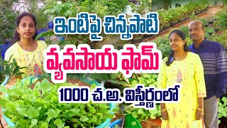 విశాలమైన స్థలంలో విస్తారమైన మిద్దెతోట | Purnima | Terrace Garden