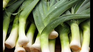Leeks The Underrated Veggie You NEED to try || Why Leeks Deserve a Spot in Your Kitchen!