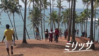 スリランカ　サーフィン　sri lanka surfing ミリッサのご紹介