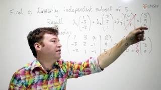 Ch6 Pr41: Linear Dependence