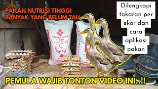 WOW‼️PAKAN NUTRISI TINGGI UNTUK BEBEK PETELUR,pemula wajib tau - RHY 4