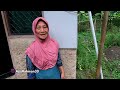 tak masuk akal dikira rumah biasa gak nyangka ada rumah unik dan aneh dalam hutan