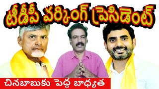 టీడీపీ వర్కింగ్ ప్రెసిడెంటుగా నారా లోకేశ్ NARA LOKESH TDP WORKING PRESIDENT TDP Local News