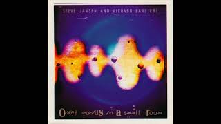 Steve Jansen And Richard Barbieri – Other Worlds In A Small Room