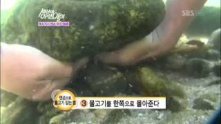 맨 손으로 물고기를 잡는 어신! @순간포착! 세상에 이런일이 20121011