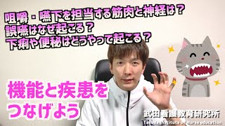 咀嚼・嚥下を担当する筋肉と神経は？誤嚥はなぜ起こる？下痢や便秘はなぜ起こる？／疾病の基礎知識／【看護師国試対策】