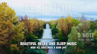 តន្ត្រីលម្ហែអារម្មណ៍|1HOUR BEAUTIFUL FREE RELAX AND SLEEP PIANO MUSIC |D NOTE|