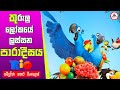 කුරුලු ලෝකෙ ලස්සන පාරාදීසය | Rio 1 full movie in Sinhala | movie explained