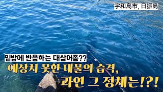 토너먼트 낚시 대회의 성지, 일본 TOP 10에 꼽히는 섬에서 맛 보는 벵에돔 낚시 (Feat. 바다의 똥싸개)