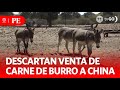 Minister Zapata: Sale of donkey meat is not of national interest | Primera Edición | News Peru